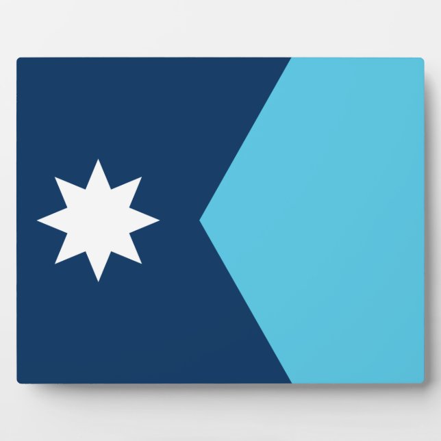 Minnesota Flag Plaque (Devant)