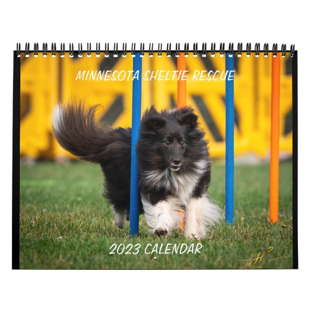 MINNESOTA SHELTIE SECOURT 2023 CALENDRIER (Protection)