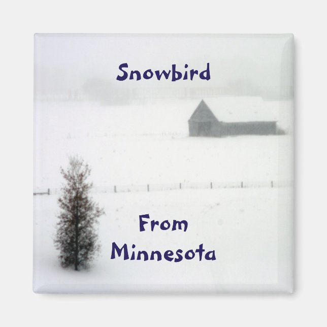 Minnesota Snowbird Magnet (Devant)