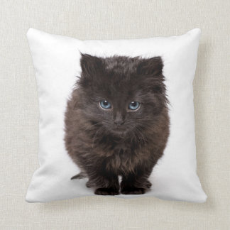 Minou de baîllement mignon sur un coussin