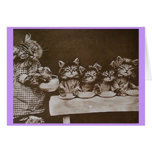 minous affamés (Devant horizontal)