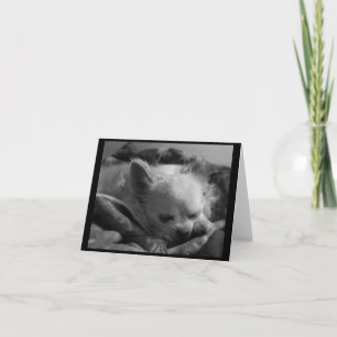 Minuscule Dreamer - Carte de note blanche