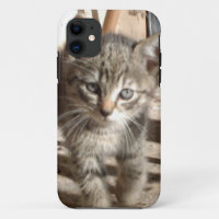 Minuscule Kitten IPhone 5 coque