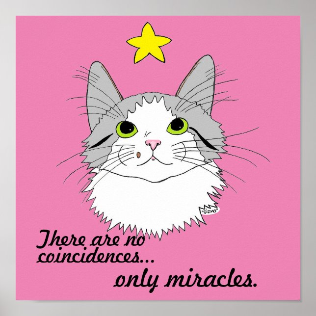 Miracles Inspirational Gizmo le chat Poster (Devant)