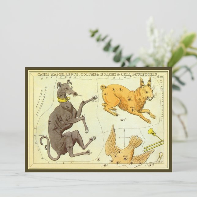 Miroir d'Urania, Carte céleste d'astronomie vintag (Debout devant)