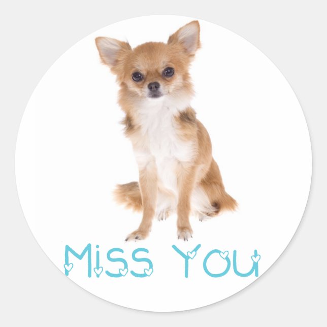 Miss Chihuahua Chiot Chig Sticker Étiquette (Devant)