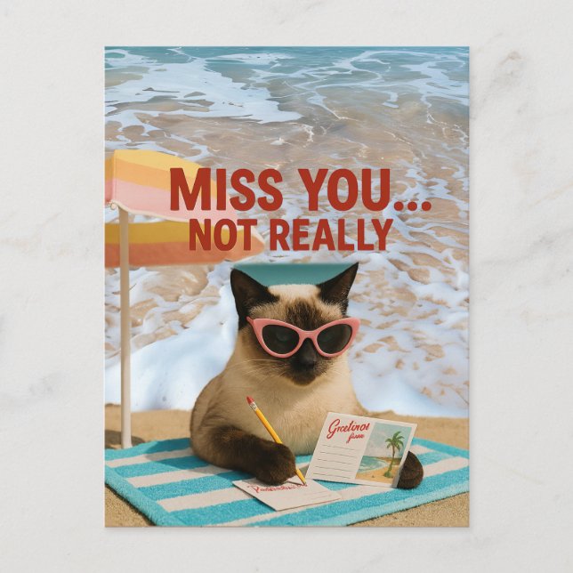 Missing You Cat est sur la carte postale de la pla (Devant)