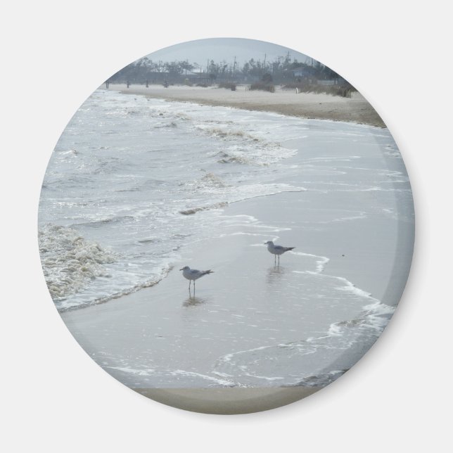 Mississippi Beach Magnet #2 (Devant)