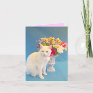 Missy Carte pour notes