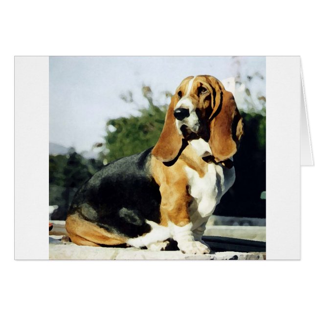 Misty (Devant horizontal)