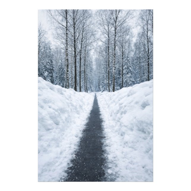 Misty Winter Forest Path Winter Landscape Poster (Devant)