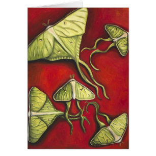 Mites de lune