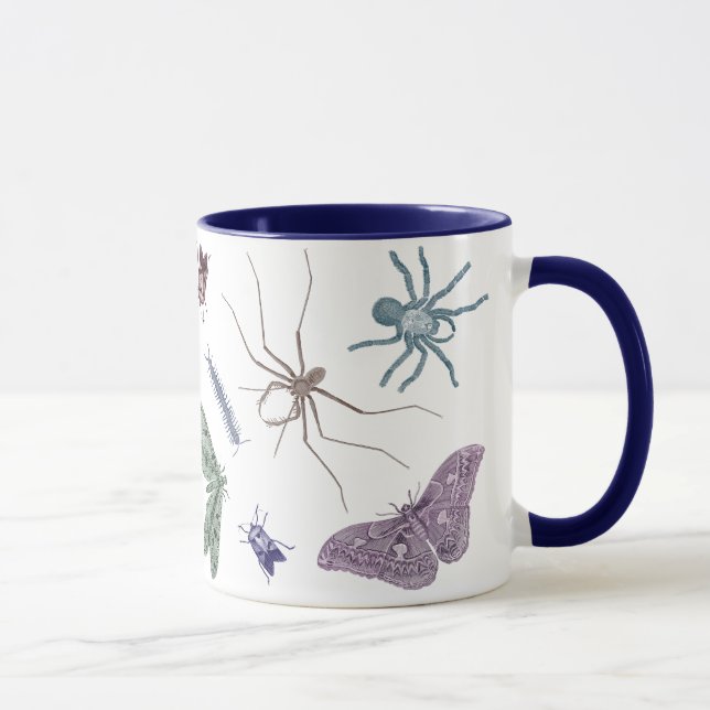Mites, insectes et araignées - tasse d'insecte (Droite)