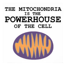 Mitochondria est la puissance - Poster