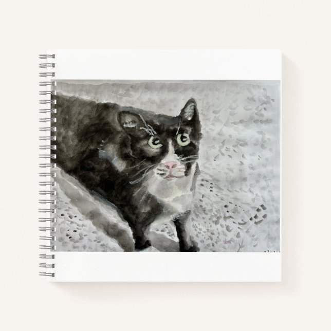 Mittens le chaton sur un journal (Devant)