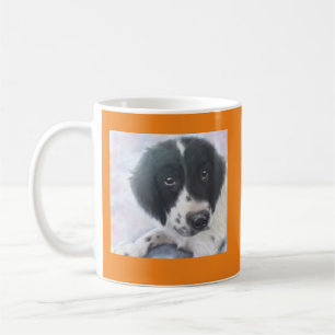 Mlle Fannie - tasse d'épagneul de springer anglai