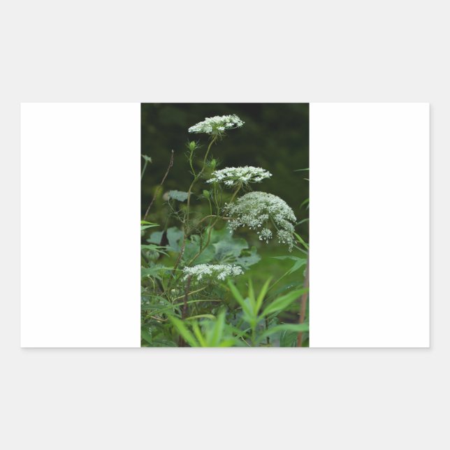 modèle autocollant rectangulaire (Devant)