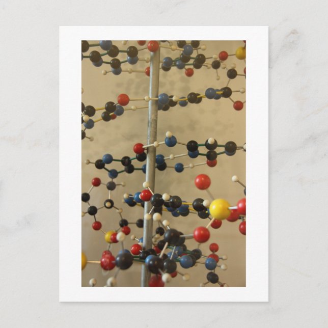 Modèle d'ADN sur carte postale (Devant)