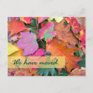 Modèle d'adresse du parquet