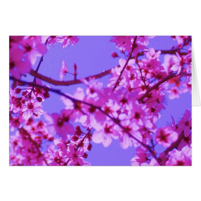 Modèle de carte de Sophie (Devant horizontal)