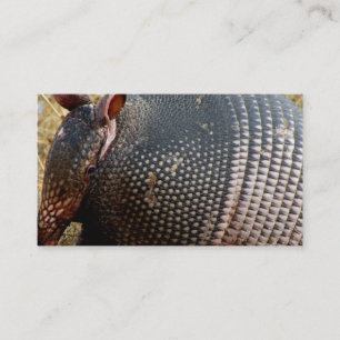 modèle de carte de visite armadillo photo