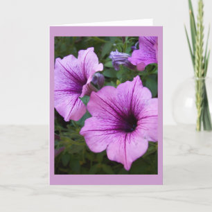 Modèle de carte Petunia