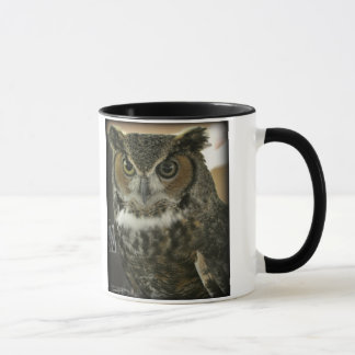Modèle de Deux-Image de tasse de hibou