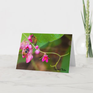 Modèle de fleurs de vigne corallienne pour vous
