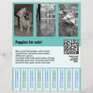 modèle de flyer de chiots à vendre avec code QR