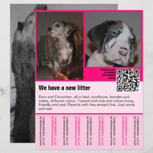 modèle de flyer de chiots à vendre avec QR code