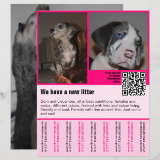 modèle de flyer de chiots à vendre avec QR code
