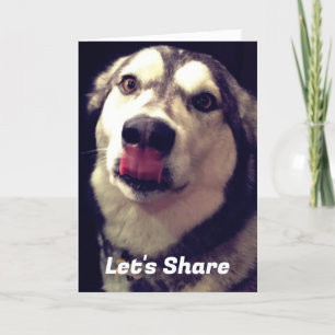 Modèle de la photo de couverture de malamut de l'A