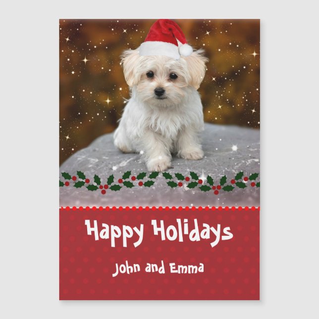 Modèle de Noël de chiot Maltais adorable (Devant)