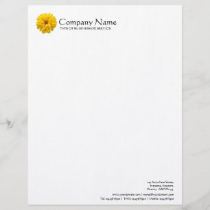 Modèle De Papier À En-tête Fleur - Chrysanthemum