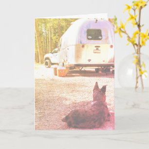Modèle de photo de chien de campeur pensant à vous