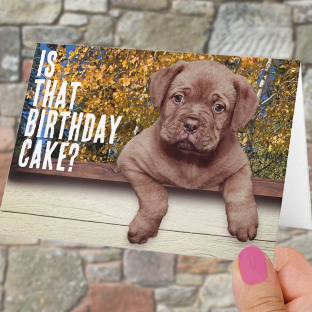 Modèle de photo de chiot brun mignon pour annivers (Créateur téléchargé)