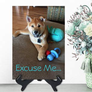 Modèle de photo de chiot Shiba Inu mignon avec des