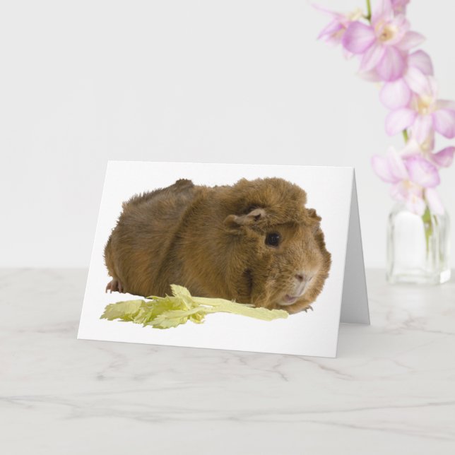 Modèle de photo de cochon d'Inde mignon auquel je  (Orchidée)