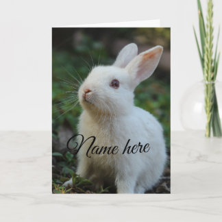 Modèle de photo de nom d'animal de compagnie simpl