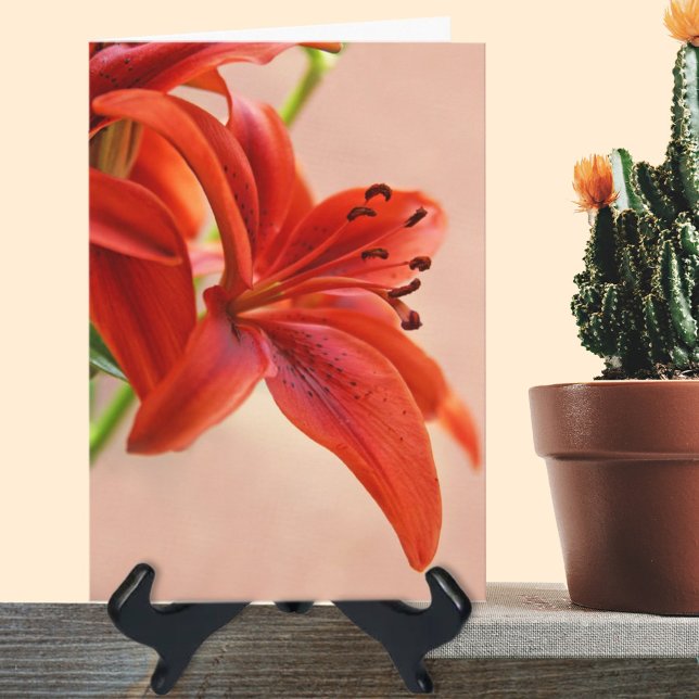 Modèle de photo de Tiger Lily Orange pour un rétab (Créateur téléchargé)