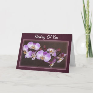 Modèle de photo d'orchidée blanche violette pour p