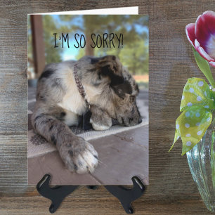 Modèle de photo personnalisée de chien bringé tard