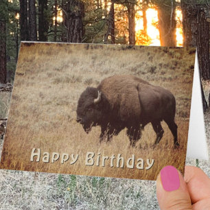 Modèle de photographie de bison pour joyeux annive