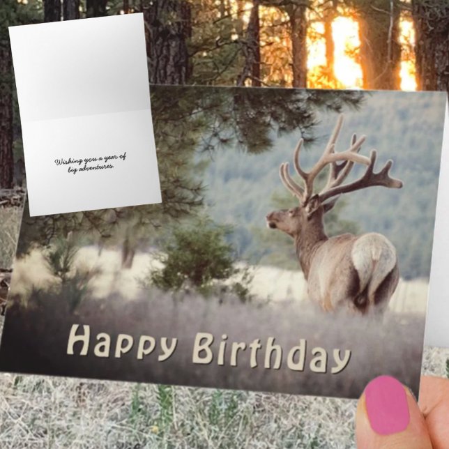 Modèle de photographie de Joyeux Anniversaire Élan (Bull elk photograph greeting card cover with front and inside template text. )