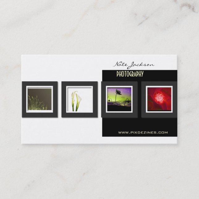 Modèle de photos cartes de visite de portefeuille (Devant)