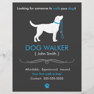 Modèle de prospectus d'affaires de Dog Walker Walk