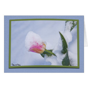 Modèle de tulipe rose neigeuse pour penser à vous