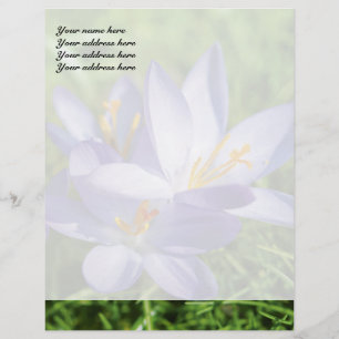 Modèle D'en-tête De Lettre Crocus
