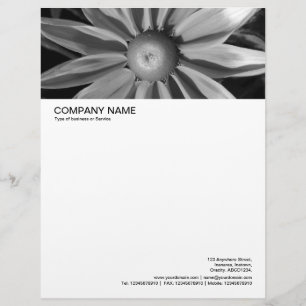 Modèle D'en-tête De Lettre En-tête grande image - Rudbecia en noir et blanc