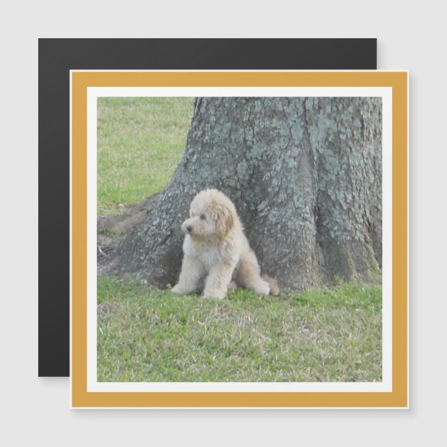 Modèle moderne de souvenir photo Magnet jaune (Devant / Derrière)